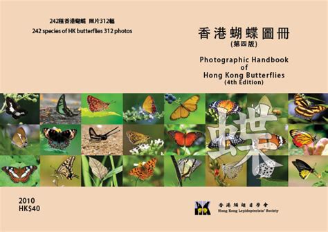 香港蝴蝶圖冊|Encyclopedia of Hong Kong Butterflies – Butterfly